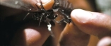 Transformers: Pomsta pora�en�ch: Teaser